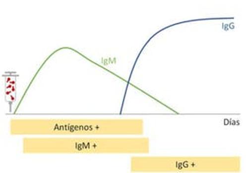 Positividad de los distintos test de COVID-19 ante una infección con SARS-CoV-2 (izquierda) o tras la administración de una vacuna ARNm (derecha). La carga viral de SARS-CoV-2 se representa en rojo y la producción de IgM e IgG por el organismo se representan en verde y azul respectivamente.