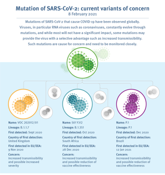 Mutación del SARS-CoV2: variantes que preocupan actualmente.