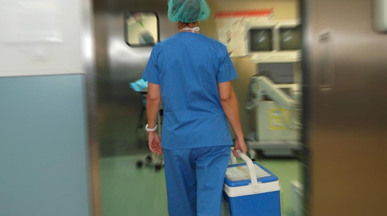 Personal de Transplantes entrando a uno de los quirófanos del Hospital General "Ntra. Sra. del Prado"