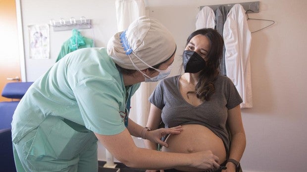 Los anticuerpos de la madre protegen al bebé frente al Covid-19 los primeros 2 meses