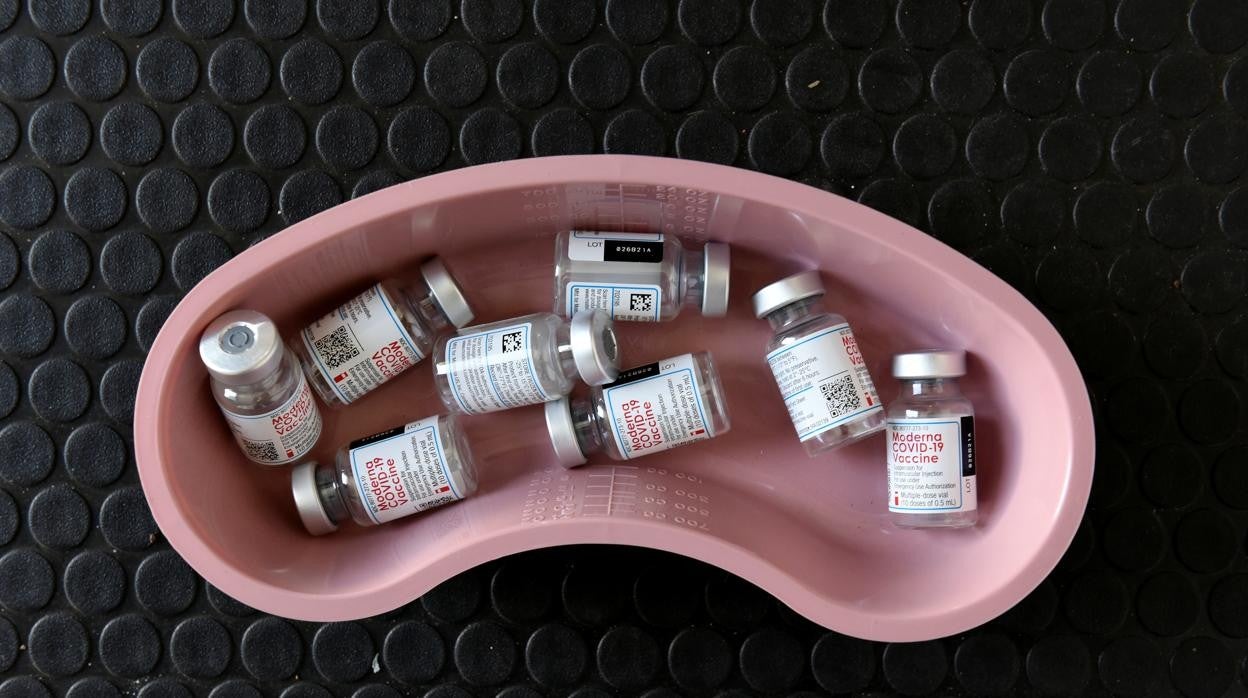 Los investigadores analizaron los datos de siete vacunas contra el Covid-19