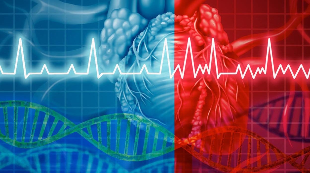 Mueren demasiados pacientes repentinamente por una afección cardíaca sin tener ningún factor de riesgo previamente establecido