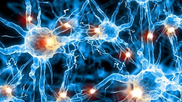 El sueño, un factor modificable para prevenir el alzhéimer