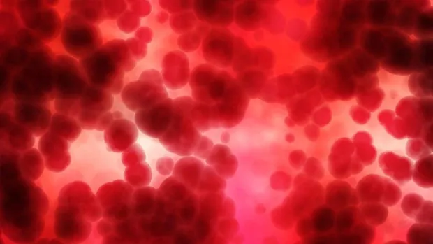 La cantidad de ARN del coronavirus en sangre predice el riesgo de muerte