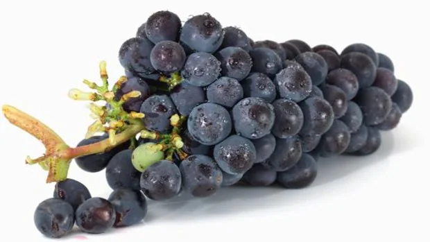 Comer uvas aumenta la diversidad de la flora intestinal y puede reducir el colesterol