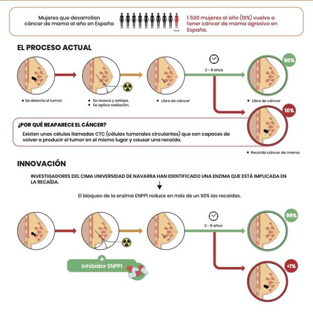 Esta diana evita la reaparición del cáncer de mama más agresivo