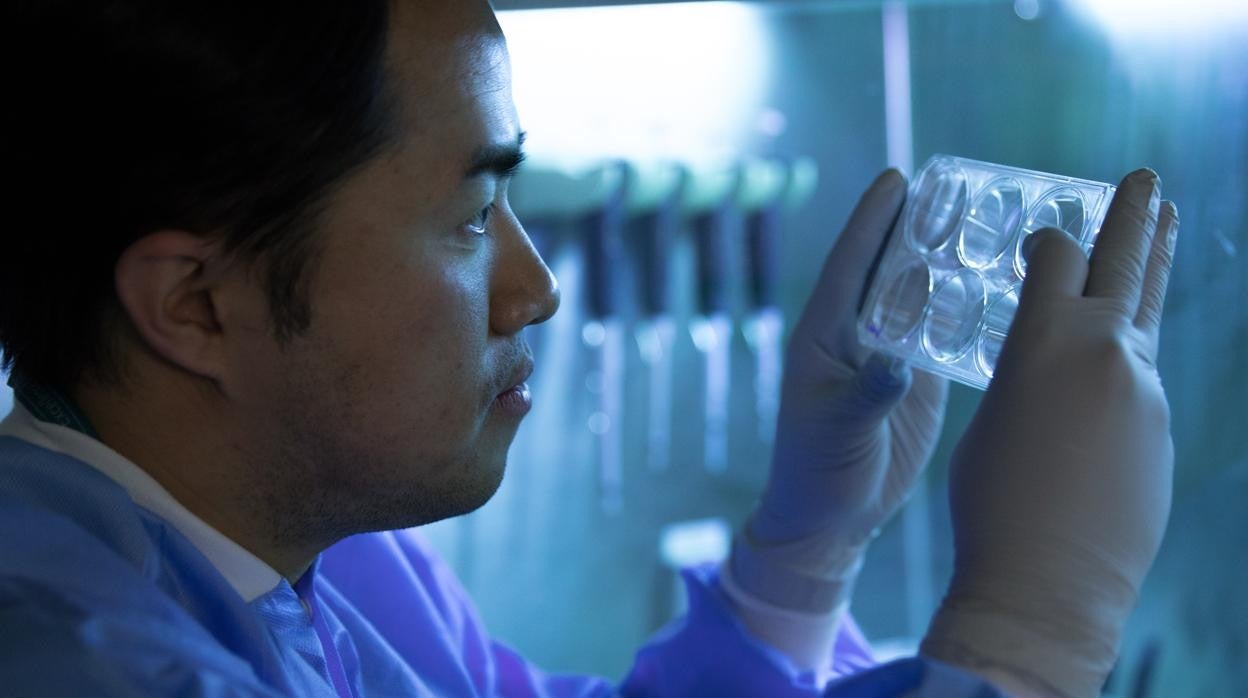 Un estudio en Science cambia por completo la forma en la que los investigadores pueden pensar sobre el tratamiento de este tipo de enfermedad vascular