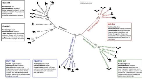 La supervacuna contra todas las variantes del SARS-CoV-2 y futuras amenazas