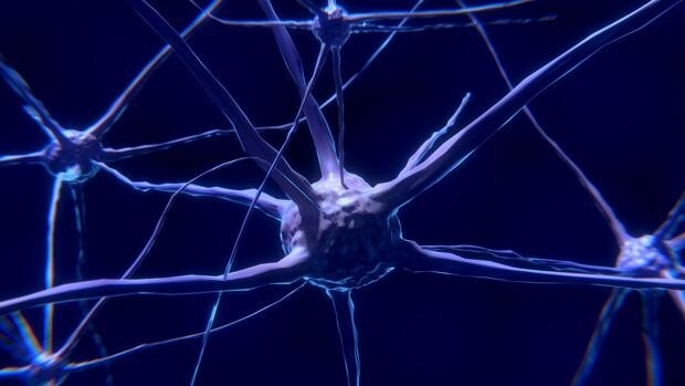 Los pacientes con alzhéimer tienen una mayor cantidad de mutaciones de ADN en sus neuronas