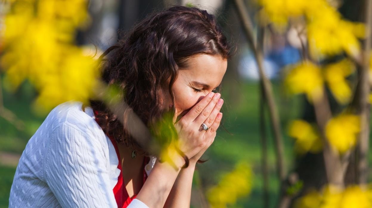 Congestión nasal, tos, picor de ojos... son síntomas habituales de las alergias