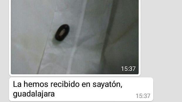 Mensaje que envió desde Guadalajara otro receptor de la semilla