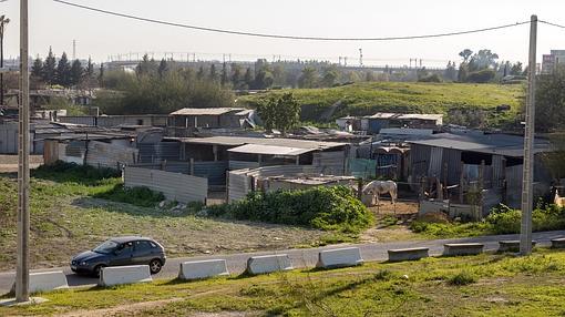 Las cuadras ilegales que hay en el acceso al barrio desde la SE-30