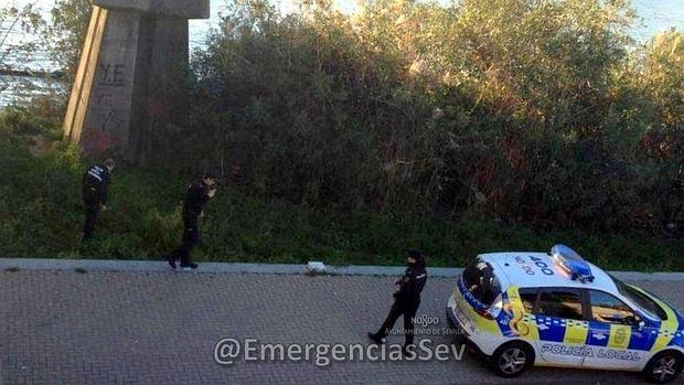 Efectivos de la Policía Local durante el rescate del herido bajo el puente de la Barqueta