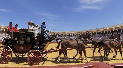 Exhibición de enganches en la Maestranza en 2015