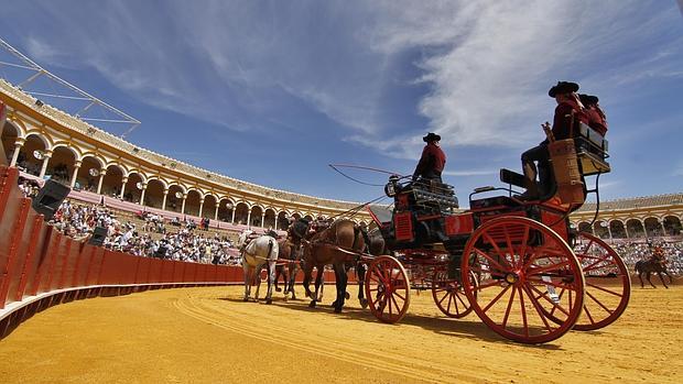 Exhibición de enganches en 2015 en la Real Maestranza de Sevilla