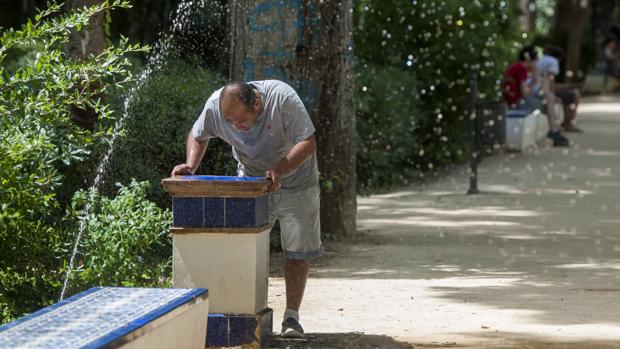 Un transeunte se refresca en na fuente del Parque de María Luisa