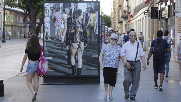 Una de las imágenes de la exposición que se celebra en la Avenida de la Constitución