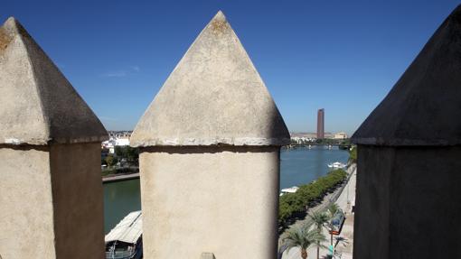 El río desde la Torre del Oro