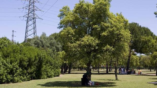 Tres detenidos por robar con violencia a menores en el Parque del Alamillo