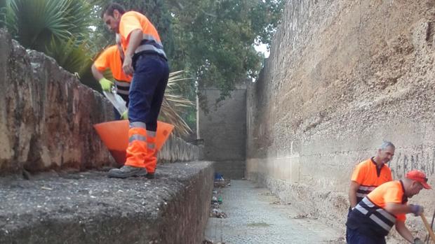 Trabajadores de Lipasam realizando labores de limpieza en la muralla