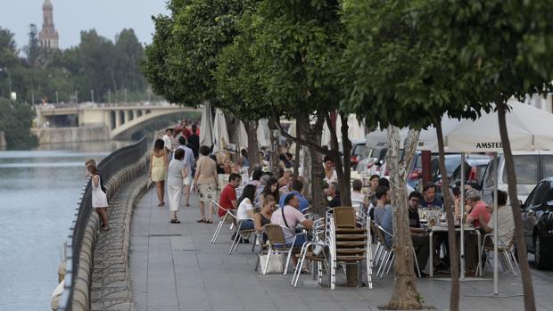 El Ayuntamiento de Sevilla está estudiando una propuesta para reducir los veladores de la calle Betis