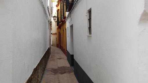 Calle Virgen de la Alegría (145 cm)