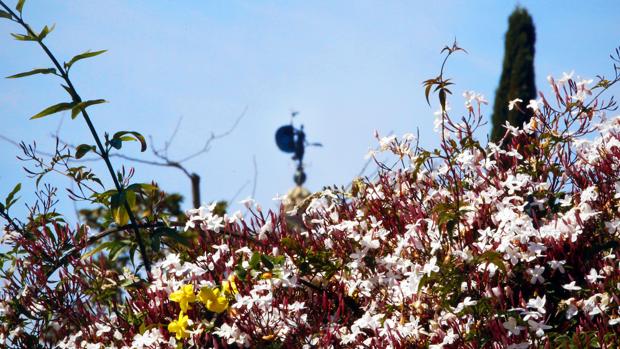 La primavera se anticipará esta semana en Sevilla, donde se alcanzarán los 27 grados de temperatura