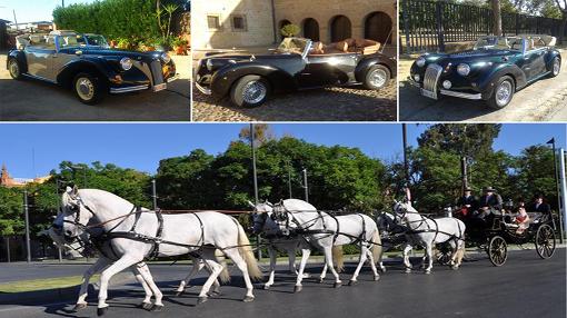 Todo sobre coches de caballos en Sevilla: alquiler, compra, equipamiento y seguros