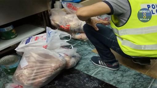 Los agentes descubrieron comida almacenada en bolsas y tirada por el suelo