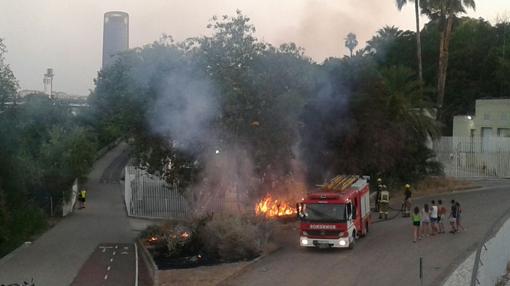 Un retén de Bomberos ha acudido a sofocar el fuego