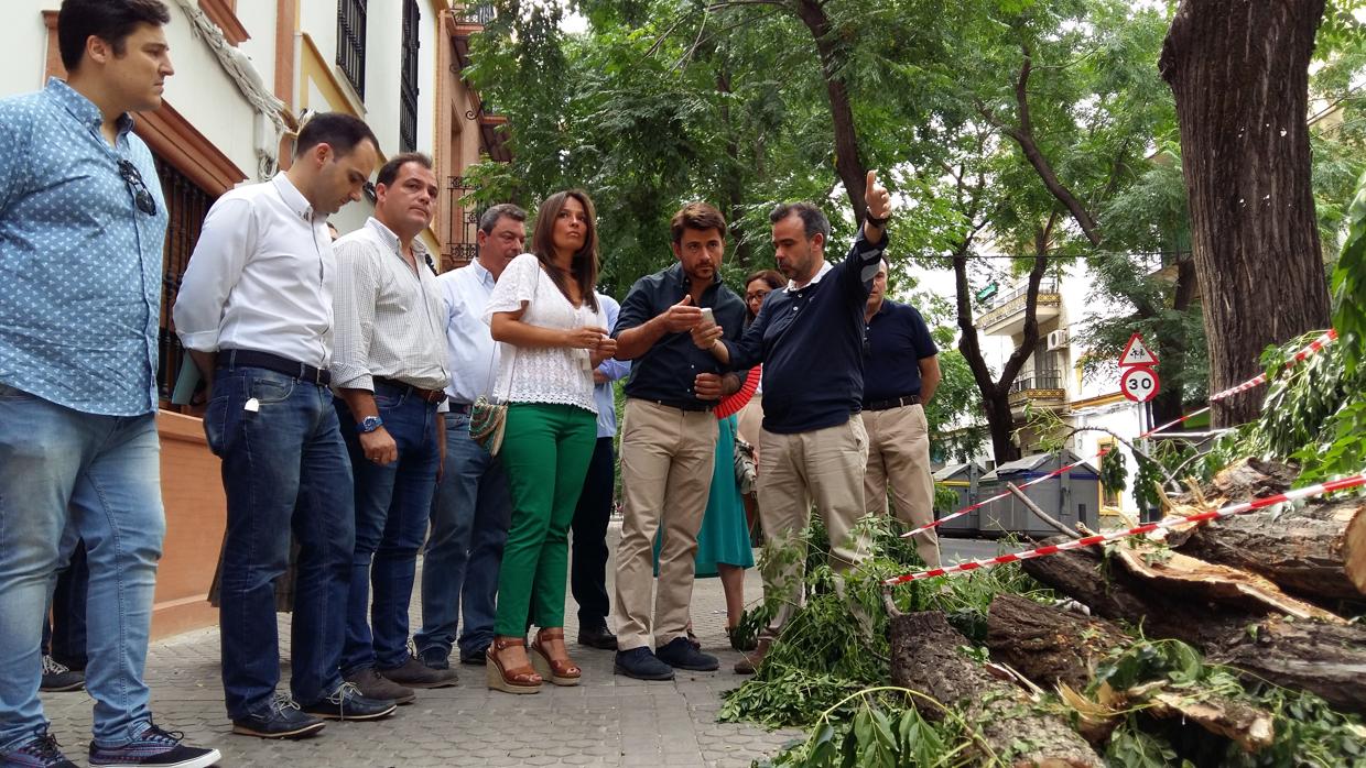 Imagen de la calle Afán de Ribera donde ocurrió el suceso con Beltrán Pérez, portavoz del PP