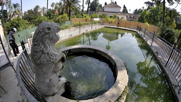 El estanque del Alcázar de Sevilla estará entre andamios durante varios meses