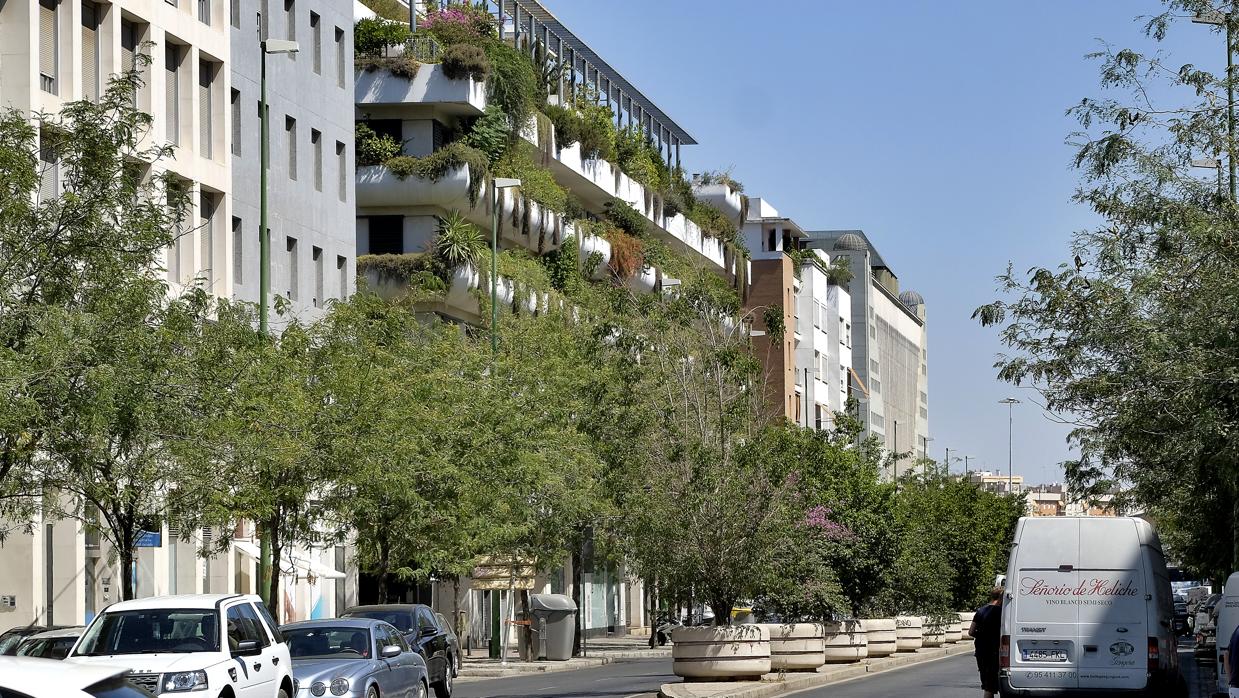 Avenida de la Buhaira, con el metro cuadrado más caro de Sevilla