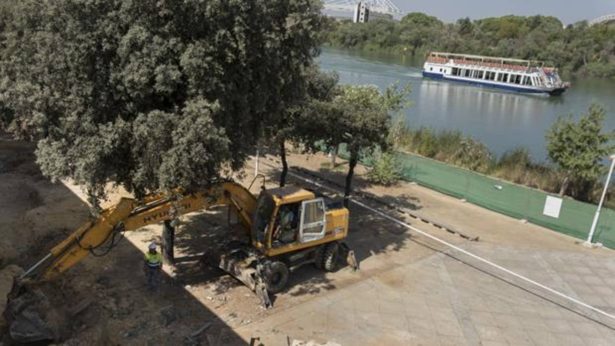 Obras en el Paseo Juan Carlos I para instalar una pasarela de unión con la calle Torneo