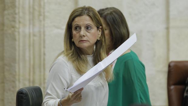 El Servicio Andaluz de Salud, acusación particular en el caso del accidente del ascensor del Hospital de Valme