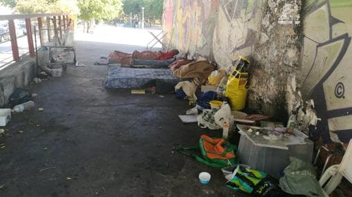 Personas sin hogar viviendo en el parque