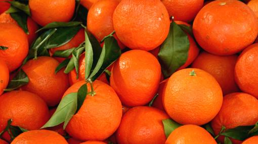 Naranjas de Sevilla