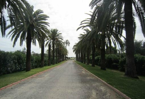 Así es la lujosa finca sevillana de Bertín Osborne