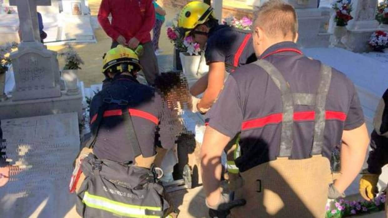 La mujer accidentada en el cementerio sevillano ha sido trasladada a un centro sanitario