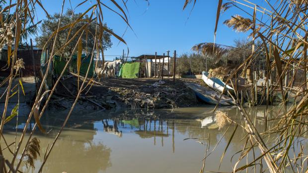 Nuevo golpe al narcotráfico que explota el río Guadalquivir