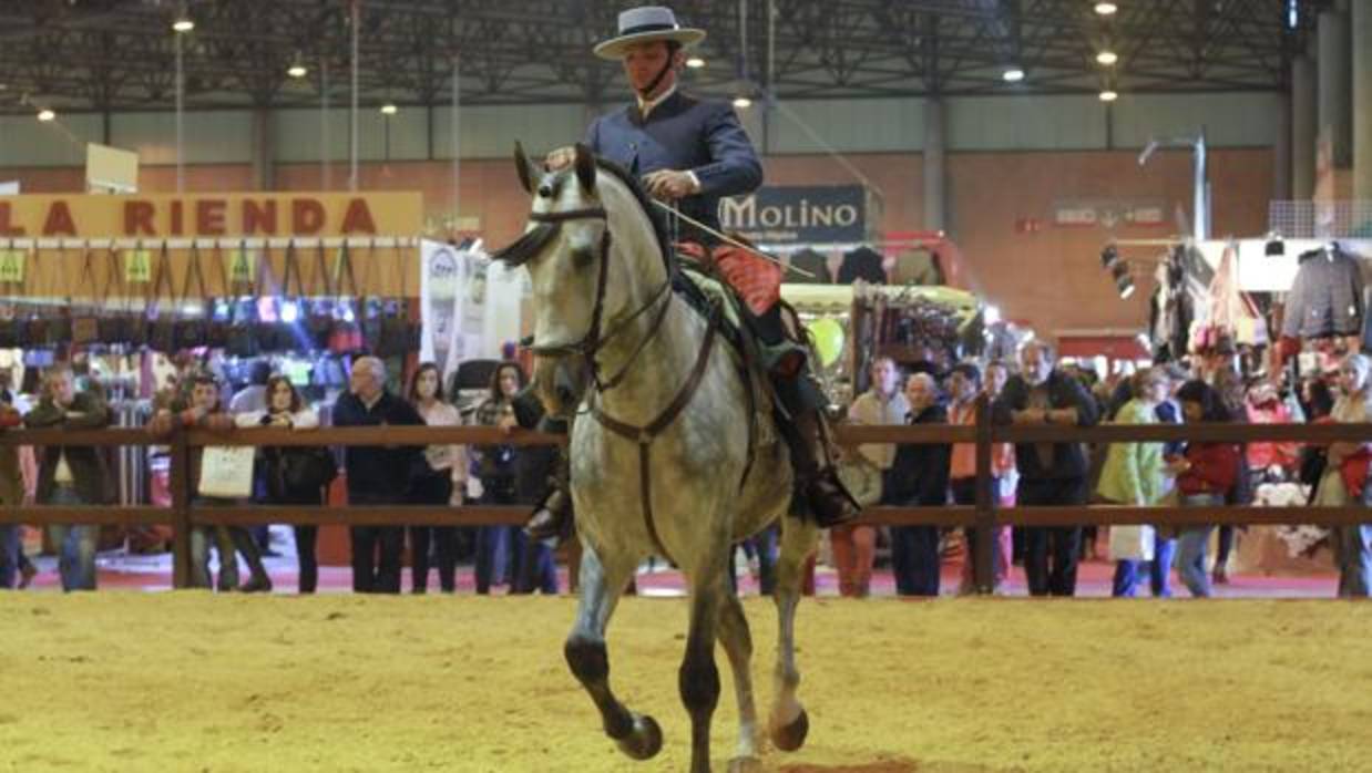 Una de las exhibiciones de la pasada edición