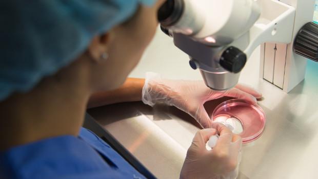 En el éxito de la reproducción asistida hay elementos que escapan a la vista