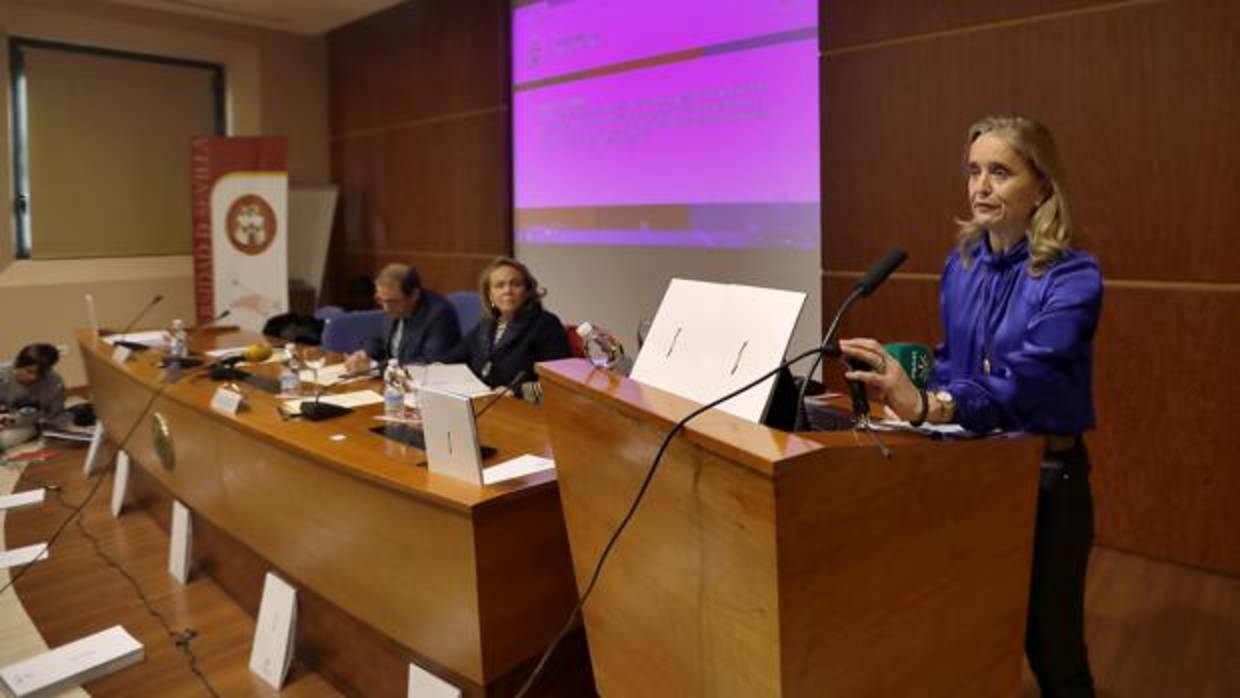 Carmen Barroso, vicerrectora de Planificación Estratégica, durante la presentación del proyect o