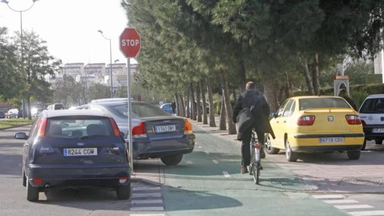Ciclistas circulando por una calle sevillana