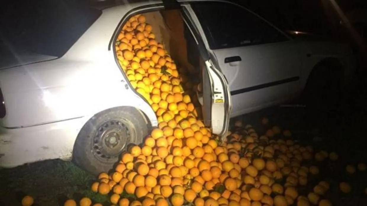 Vehículo interceptado a rebosar de naranjas