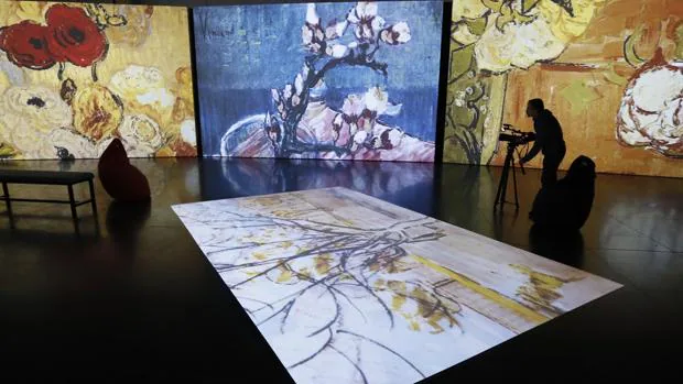 Inaugurada la exposición «Van Gogh Alive» en el Pabellón de la Navegación de Sevilla
