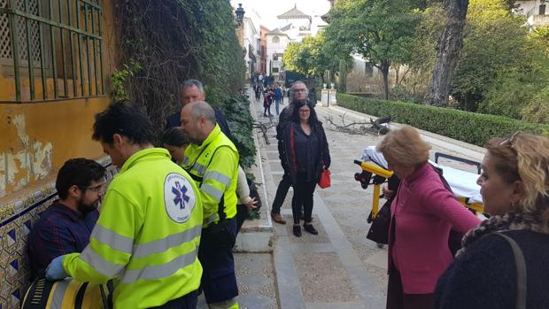 El joven herido es atendido por personal sanitario en los Jardines de Murillo tras el suceso