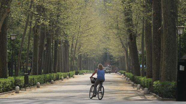 La UPO y el CSIC coordinan un estudio sobre la resiliencia de los bosques frente a las sequías extremas