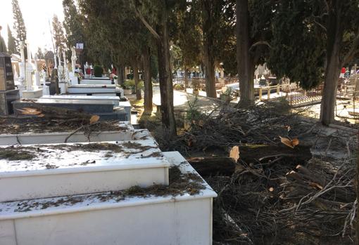 Destrozos en el cementerio de Sevilla