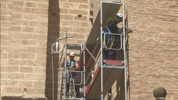 Comienza el montaje del andamio de la cara sur de la Giralda, que estará seis meses en restauración